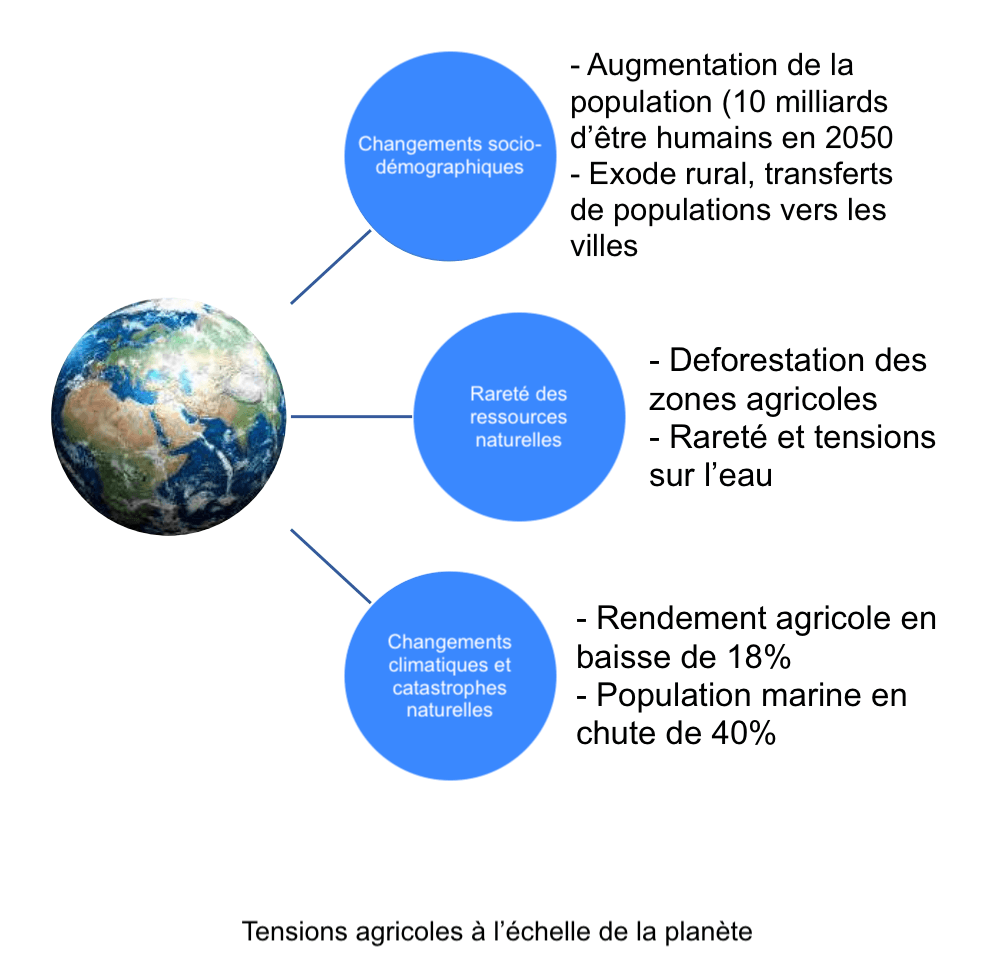 Agriculture et diverses tensions