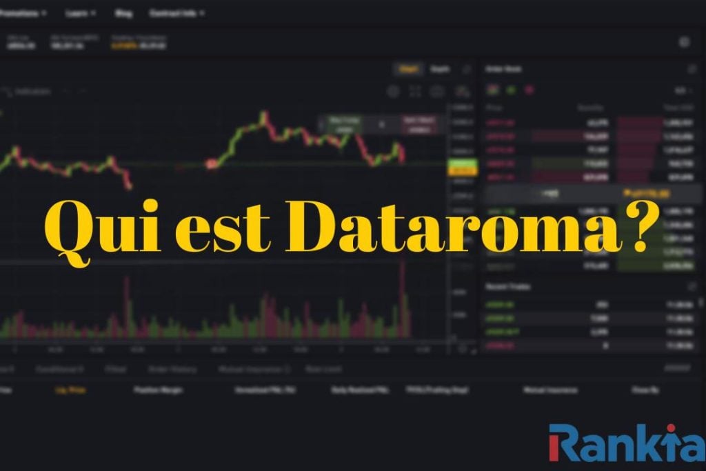 Dataroma 2 1 1024x683