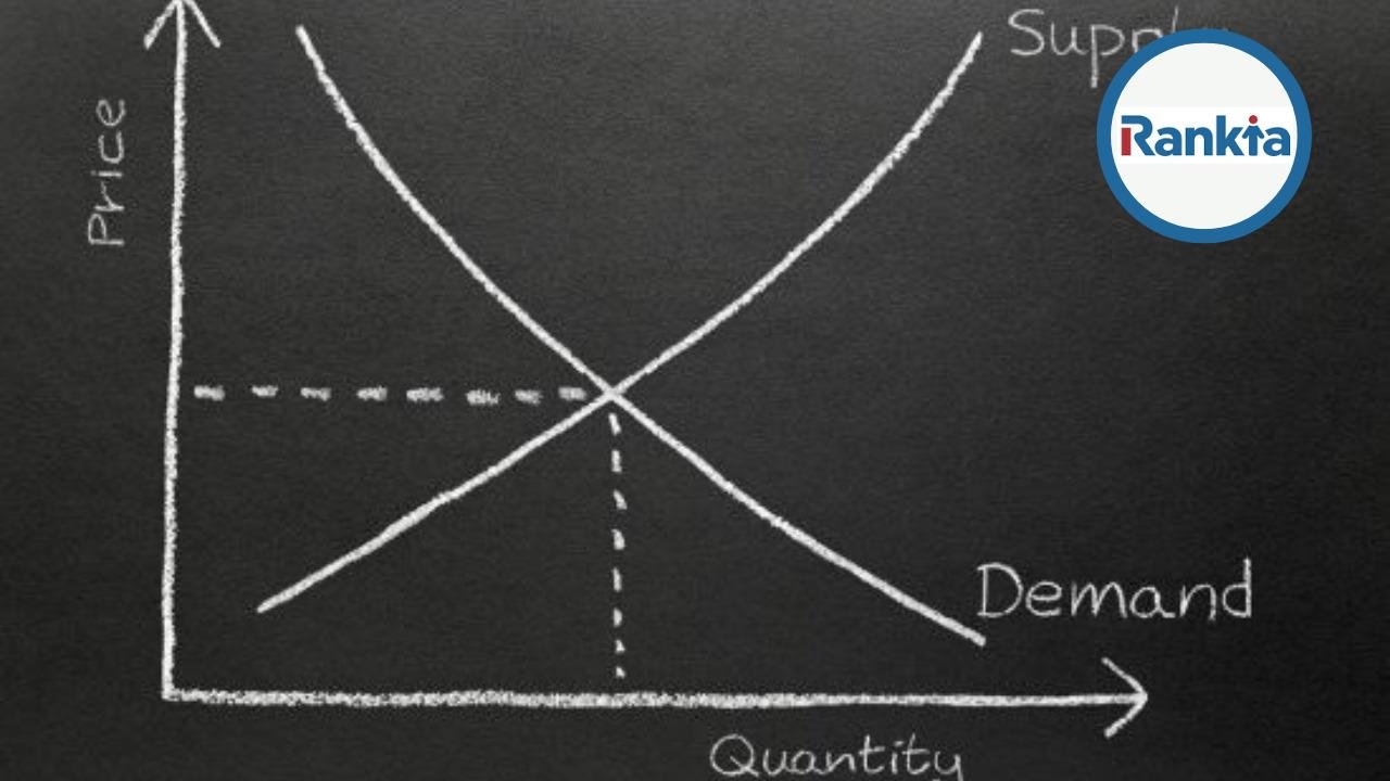 Élasticité de la demande : définition, calcul et exemples