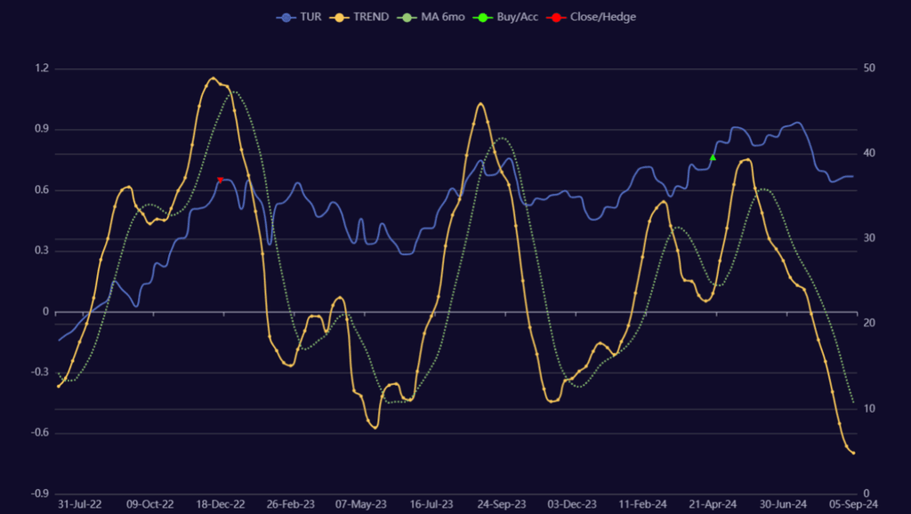 INVESTIR EN TURQUIE - Tendance ETF TUR