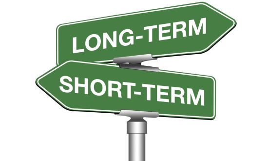 L'investissement de long terme, stratégies et spécificités