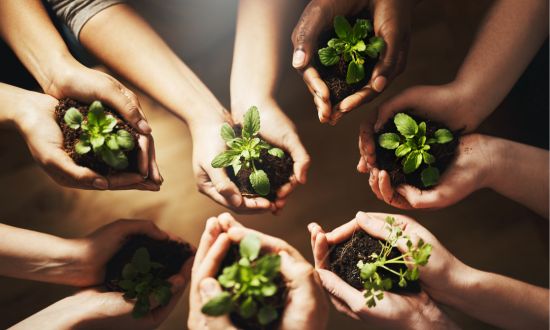 L'investissement durable : actions, fonds, et ETF