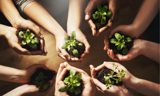 L'investissement durable : actions, fonds, et ETF