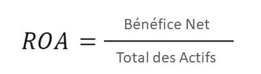 formule du ROA