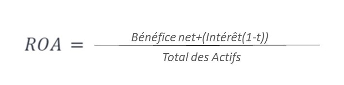 formule de calcule du ROA