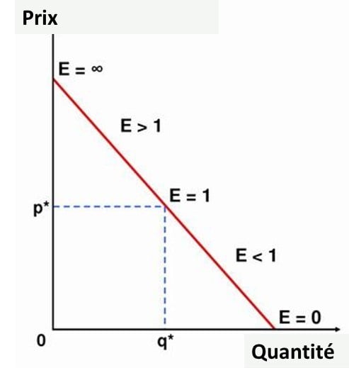 L'élasticité sur la courbe de la demande