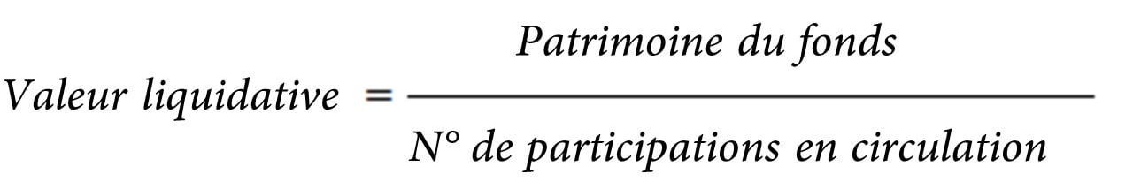 Fonds d'investissement : valeur liquidative