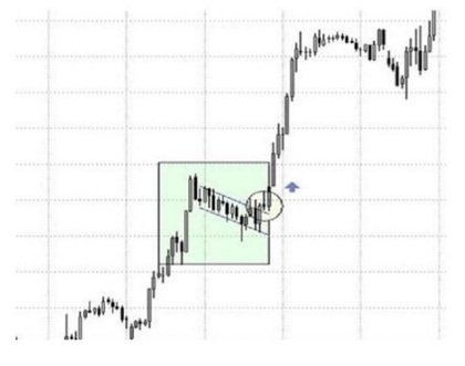 Bull Flag