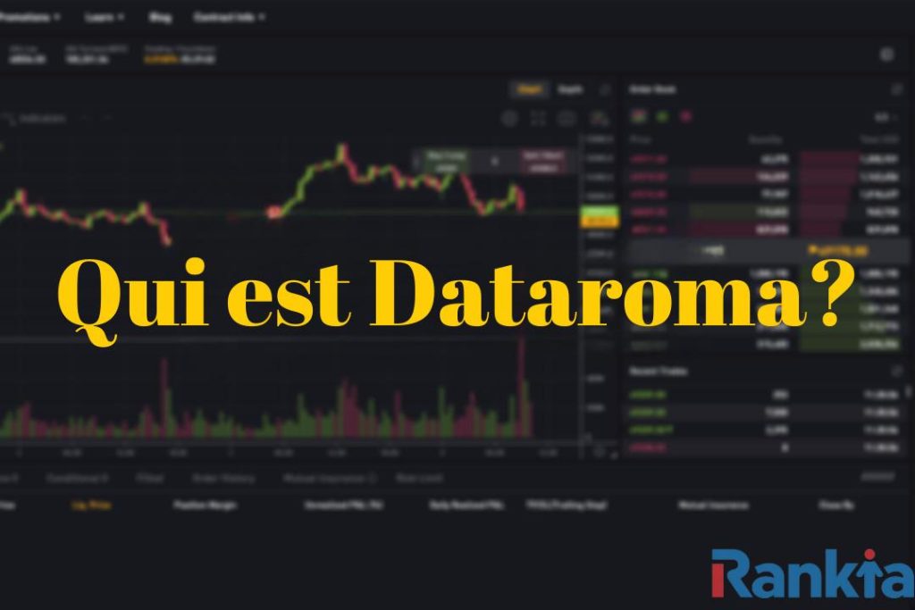 Dataroma 2 1 1024x683