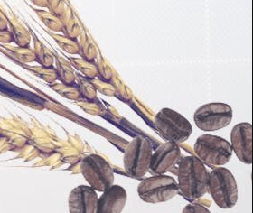 CFD matières premières ActivTrades