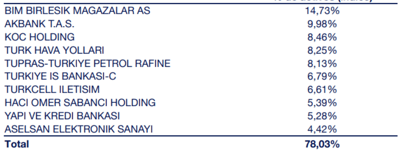 Investir en Turquie - Principaux titres Amundi MSCI Turkey UCITS ETF Acc