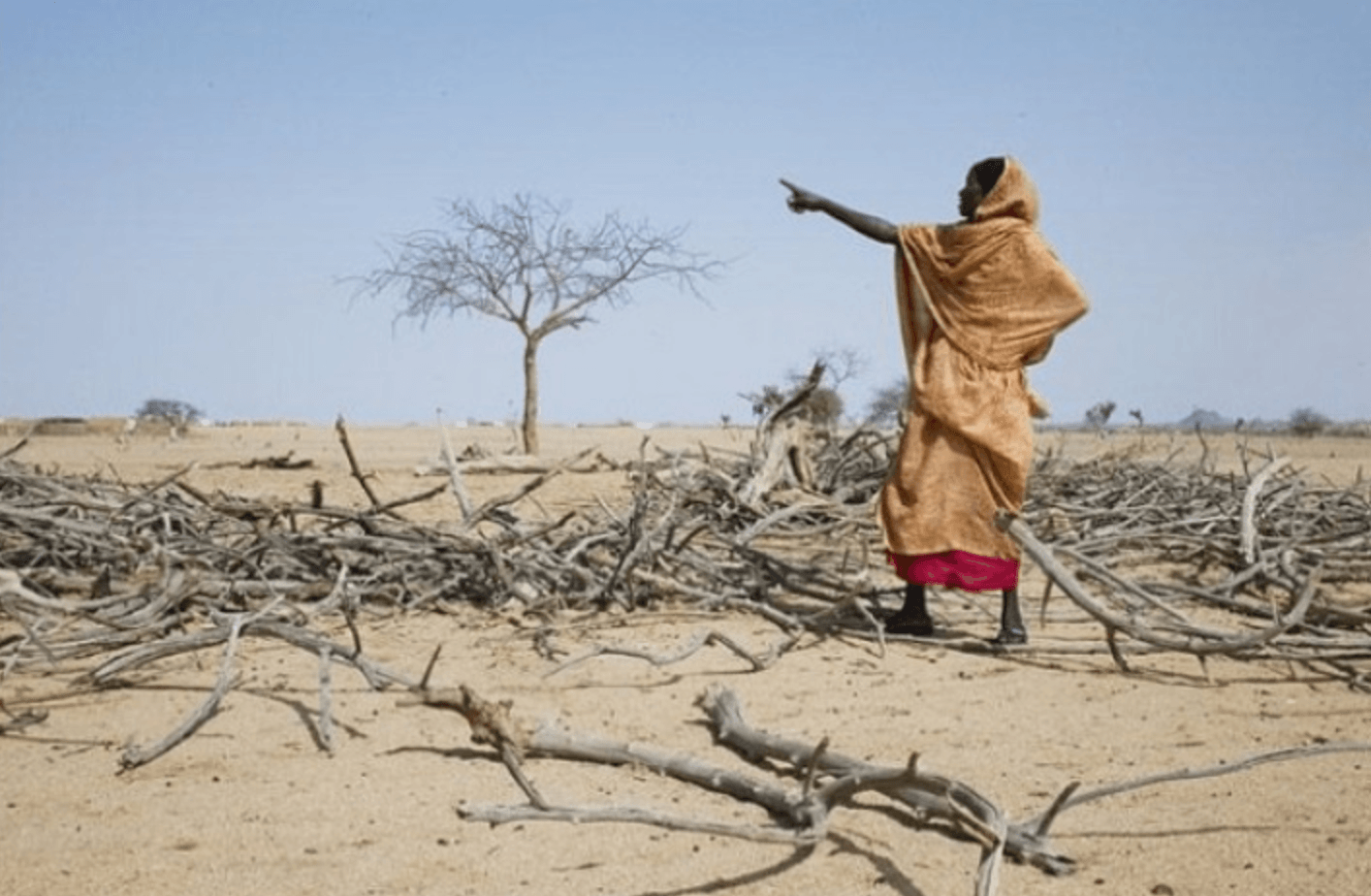 investir dans le cacao- Sécheresses en Afrique causées par El Niño