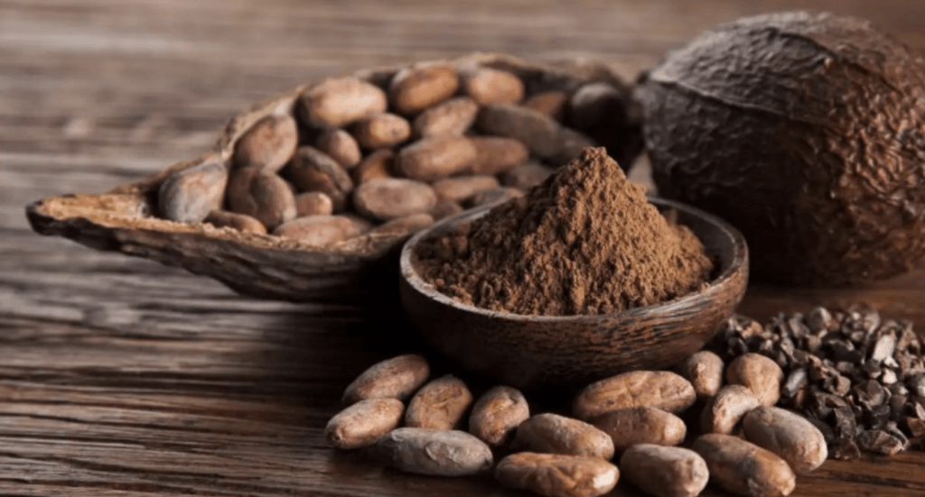 INVESTIR DANS LE CACAO