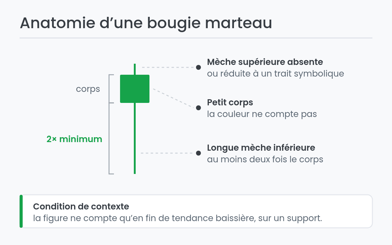 Anatomie d'une bougie marteau : corps, mèches et proportions